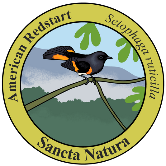 Adult American Redstart T-shirt