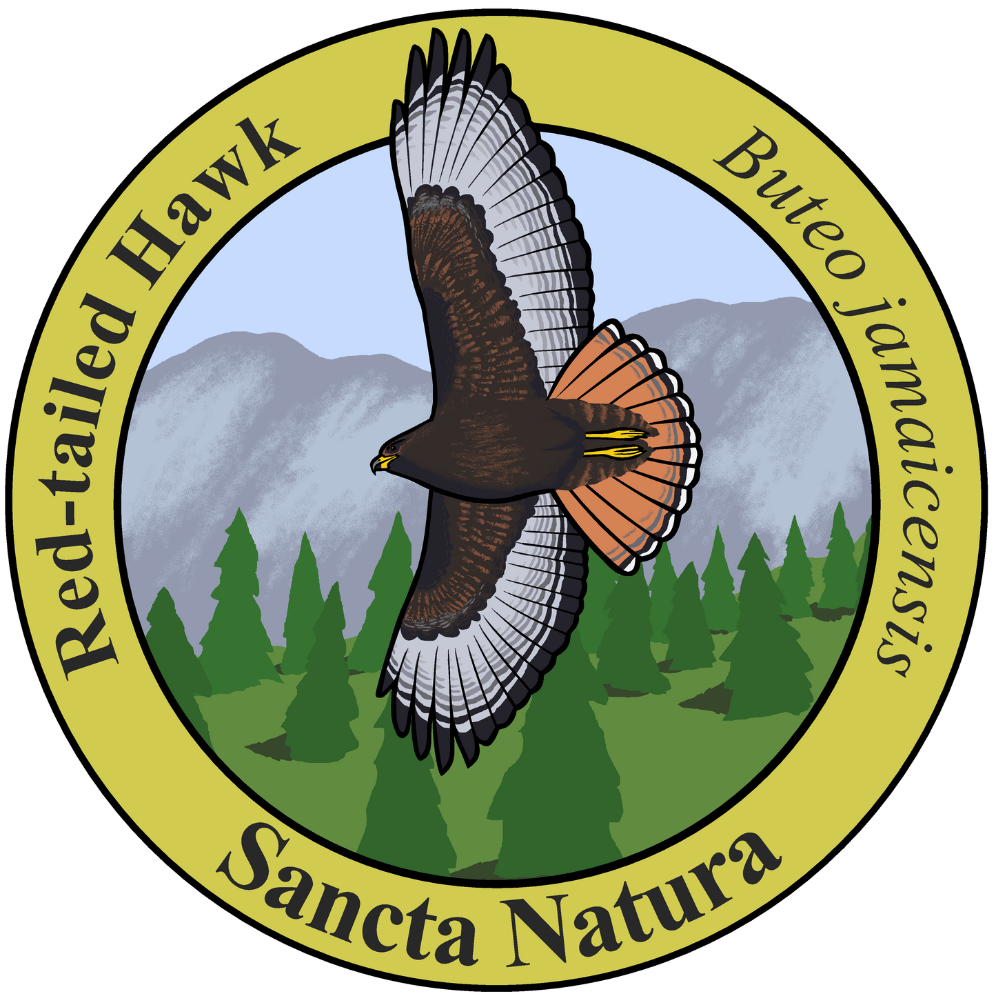 Adult Red-tailed Hawk T-shirt