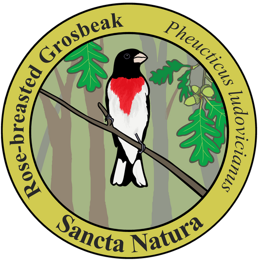 Adult Rose-breasted Grosbeak T-shirt