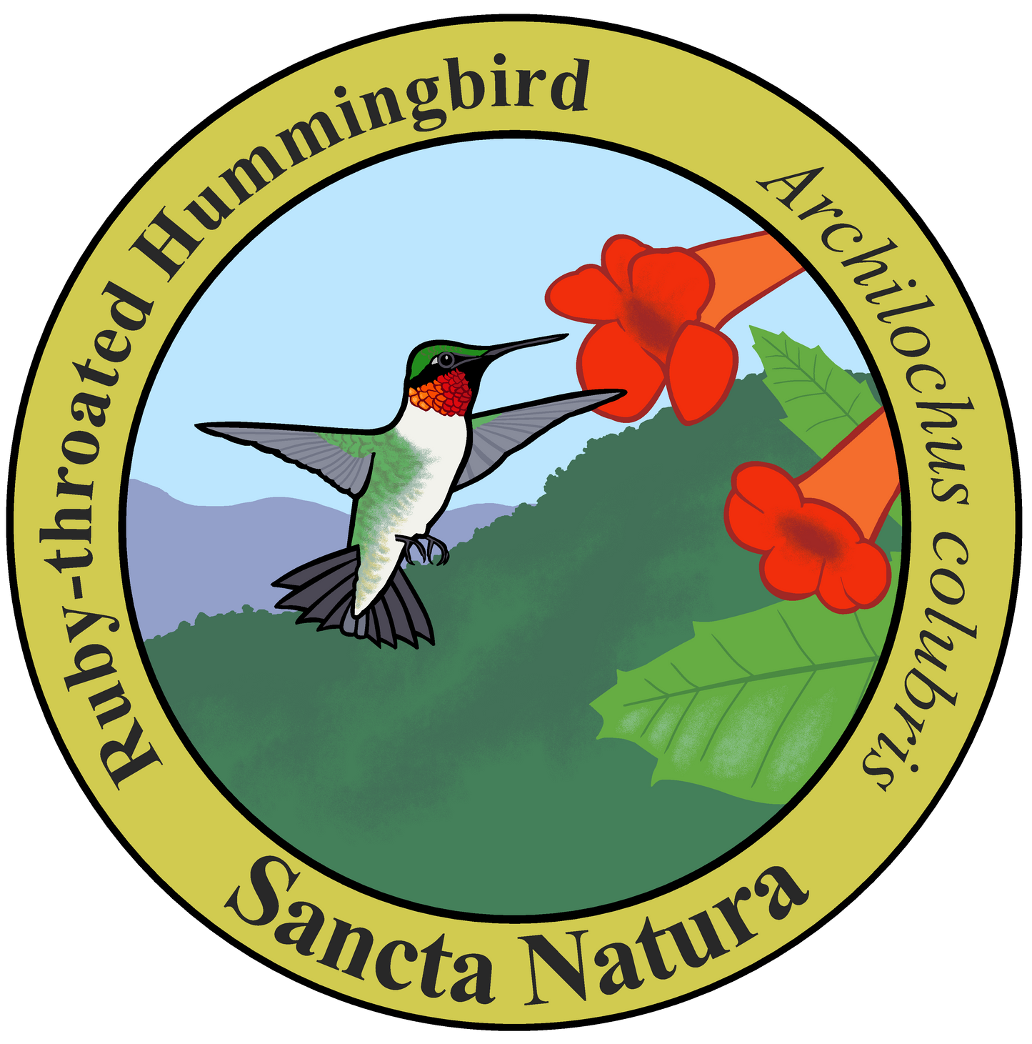 Adult Ruby-throated Hummingbird T-shirt