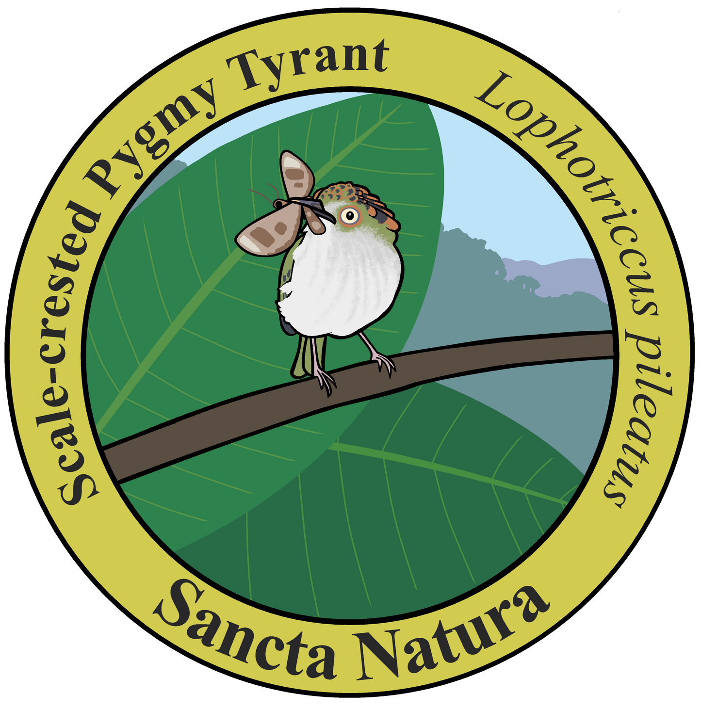 Adult Scale-crested Pygmy-Tyrant T-shirt