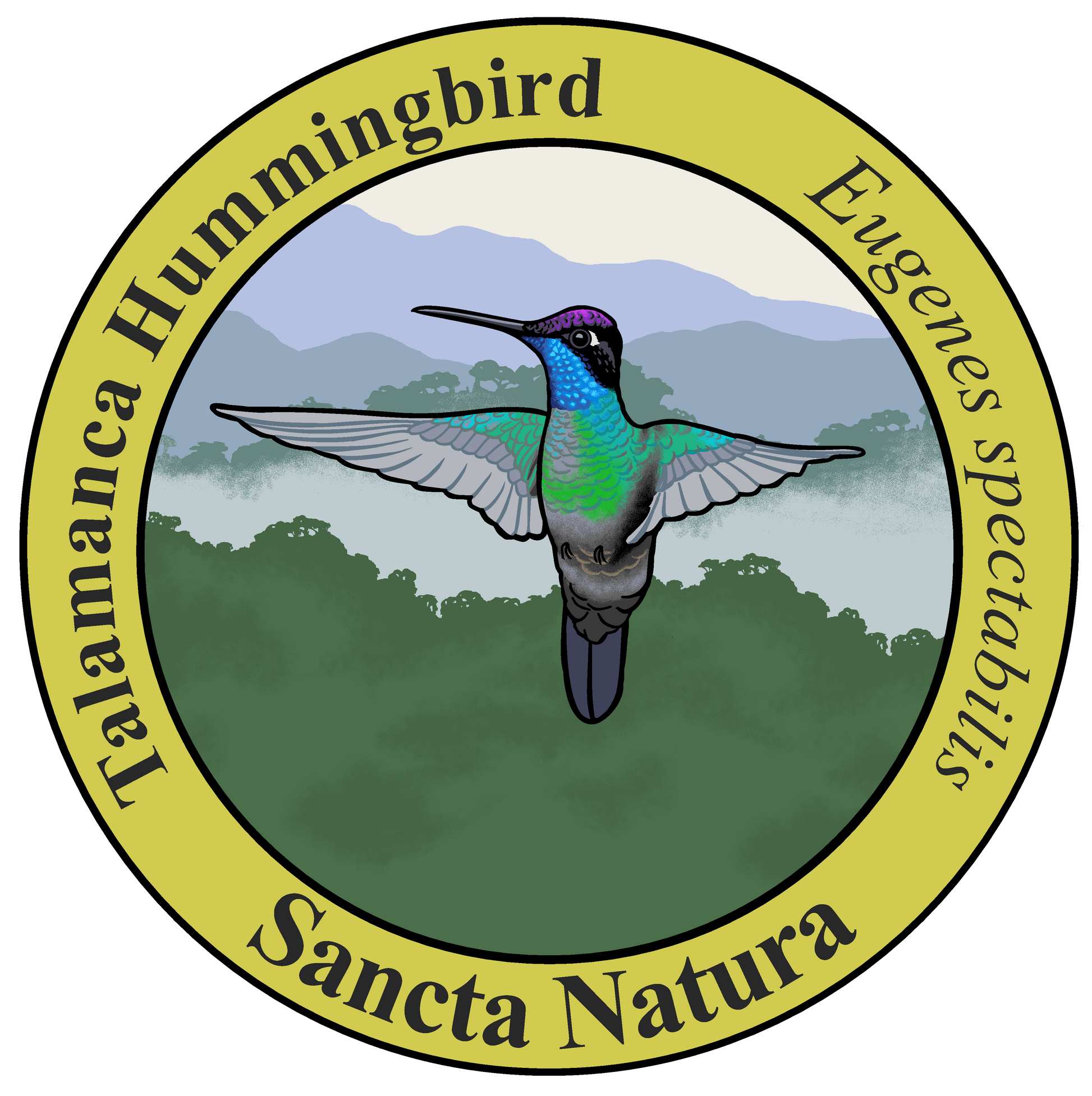 Adult Talamanca Hummingbird T-shirt
