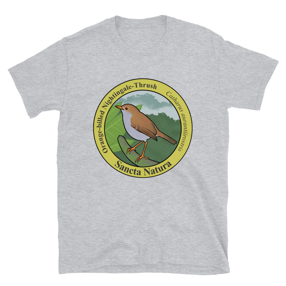 Adult Orange-billed Nightingale-Thrush