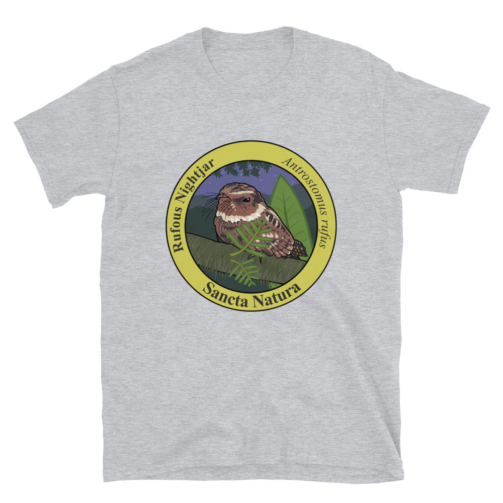 Adult Rufous Nightjar