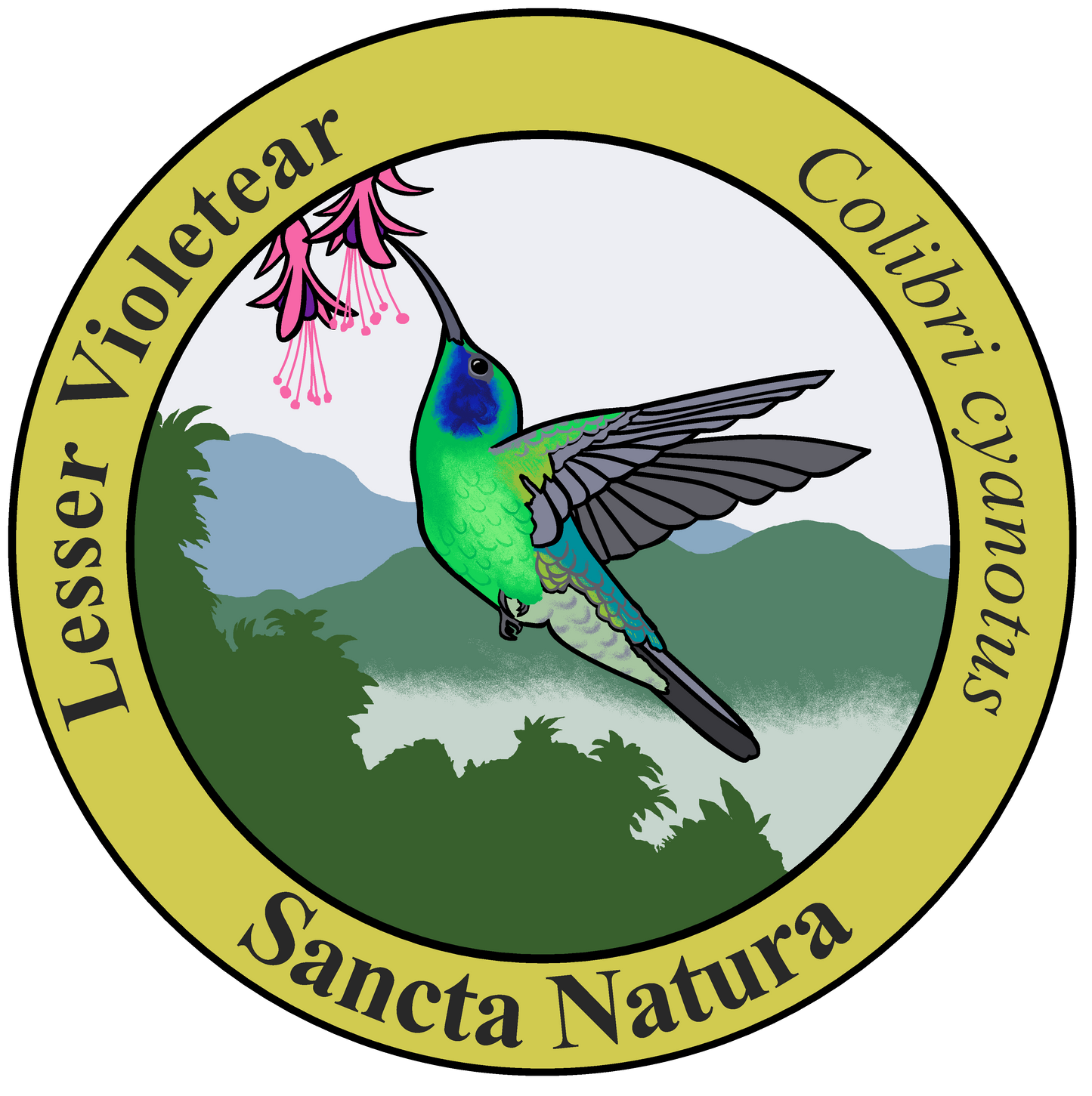 Adult Lesser Violetear T-shirt